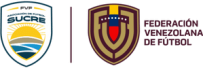 Logo Sitio Web AFES FVF
